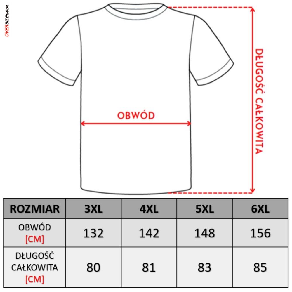 Białe polo z krótkim rękawem Pierre Cardin - obrazek 2