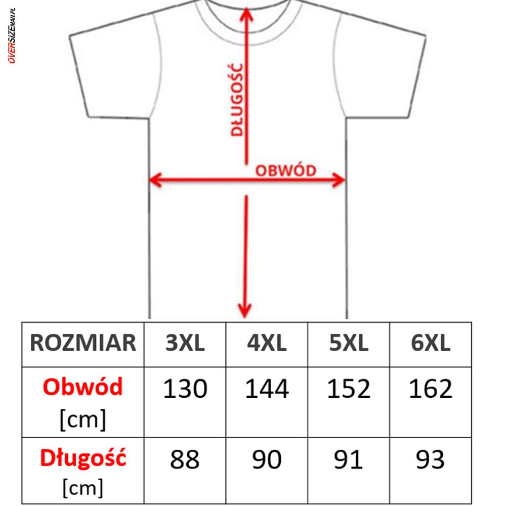 Białoniebieskie polo z krótkim rękawem Allsize - obrazek 2