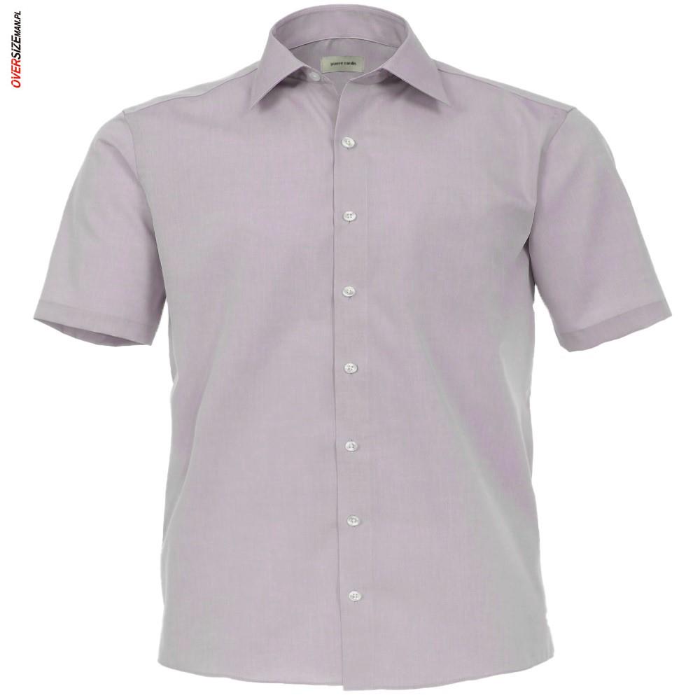 Liliowa koszula z krótkim rękawem Pierre Cardin