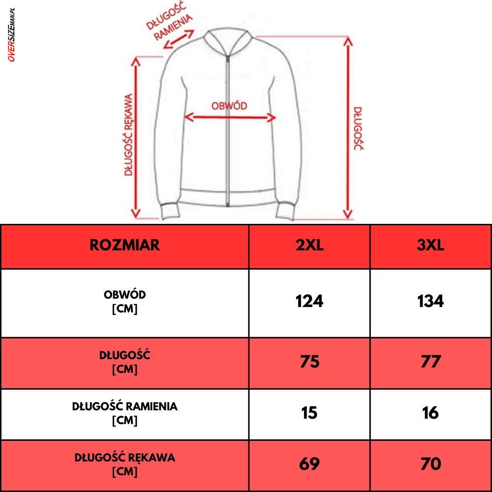 Szara bluza rozpinana z drobnym haftem na piersi Red Green - obrazek 2